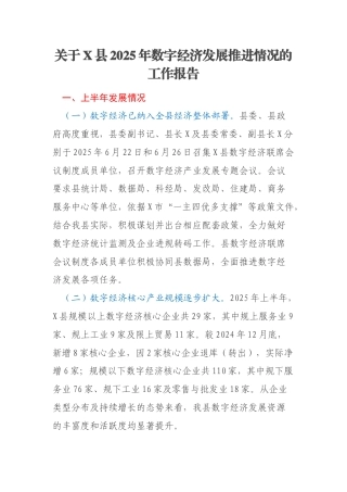 关于X县2025年数字经济发展推进情况的工作报告