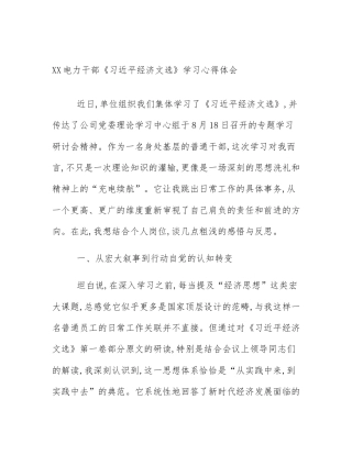 XX电力干部《习近平经济文选》学习心得体会