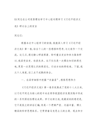 XX同志在公司党委理论学习中心组专题学习《习近平经济文选》研讨会上的发言