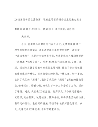 XX镇党委书记在县委第二巡察组巡察反馈会议上的表态发言
