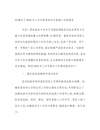 XX镇关于2025年上半年防返贫动态监测工作的报告