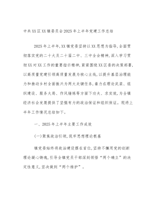 中共XX区XX镇委员会2025年上半年党建工作总结