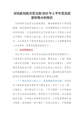市民政局机关党支部2025年上半年党员思想形势分析报告