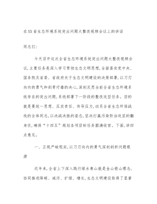 在XX省生态环境系统突出问题大整改视频会议上的讲话