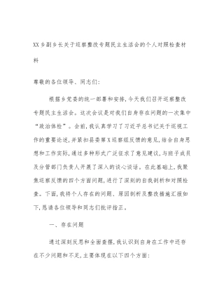 XX乡副乡长关于巡察整改专题民主生活会的个人对照检查材料