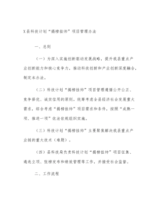 X县科技计划“揭榜挂帅”项目管理办法