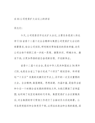 在XX公司党委扩大会议上的讲话