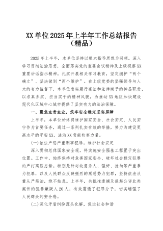XX单位2025年上半年工作总结报告（精品）