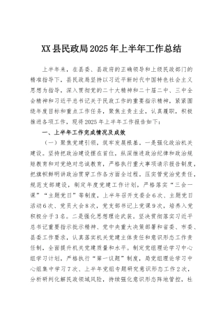 XX县民政局2025年上半年工作总结