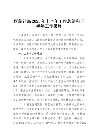 区统计局2025年上半年工作总结和下半年工作思路