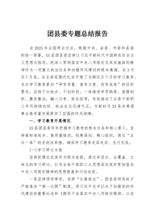 团县委专题总结报告