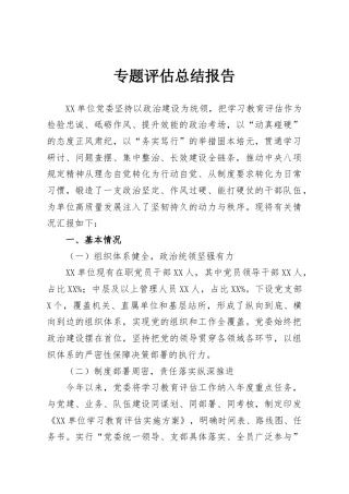 专题评估总结报告
