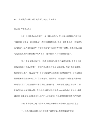 在XX公司团委一届十四次委员(扩大)会议上的讲话