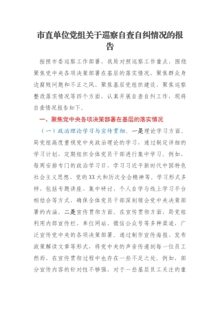 市直单位党组关于巡察自查自纠情况的报告