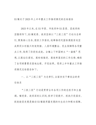 XX镇关于2025年上半年重点工作推进情况的总结报告