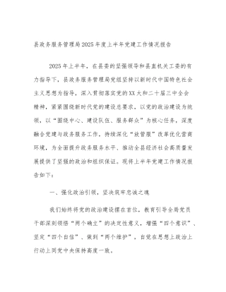 县政务服务管理局2025年度上半年党建工作情况报告