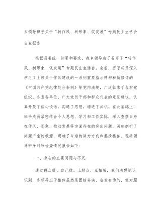乡领导班子关于“转作风、树形象、促发展”专题民主生活会自查报告
