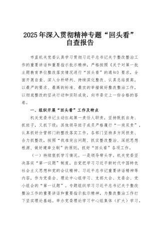 2025年深入贯彻精神专题“回头看”自查报告