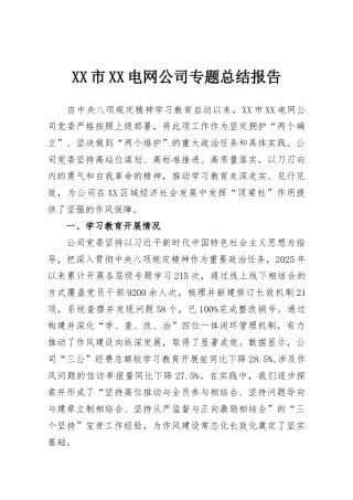 XX市XX电网公司专题总结报告