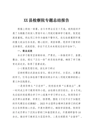 XX县检察院专题总结报告