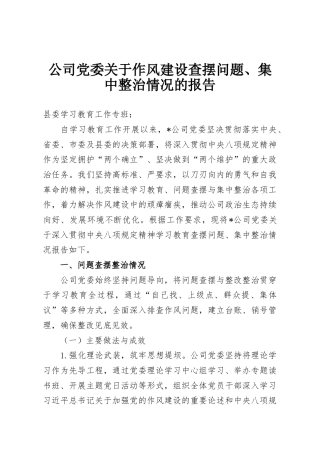 公司党委关于作风建设查摆问题、集中整治情况的报告