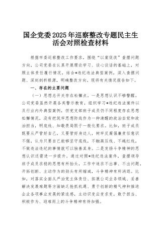国企党委2025年巡察整改专题民主生活会对照检查材料
