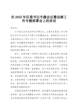 在2025年区委书记专题会议暨巡察工作专题部署会上的讲话