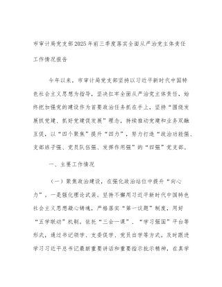 市审计局党支部2025年前三季度落实全面从严治党主体责任工作情况报告