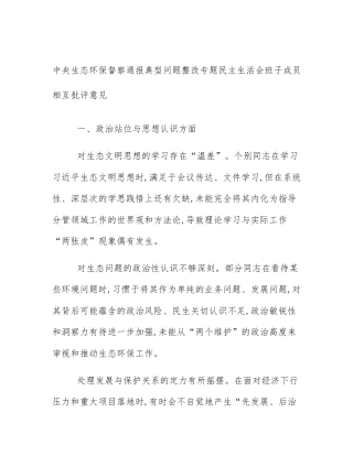 中央生态环保督察通报典型问题整改专题民主生活会班子成员相互批评意见