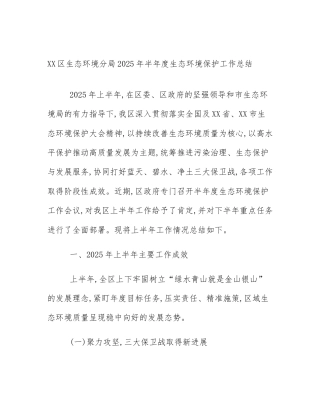 XX区生态环境分局2025年半年度生态环境保护工作总结