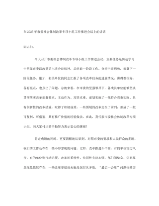在2025年市委社会体制改革专项小组工作推进会议上的讲话