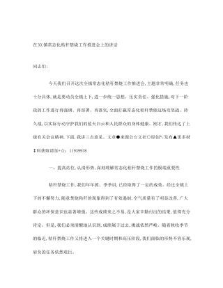 在XX镇常态化秸秆禁烧工作推进会上的讲话