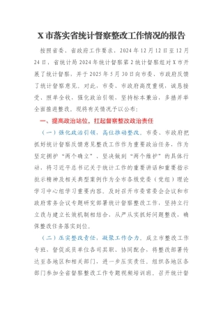 X市落实省统计督察整改工作情况的报告