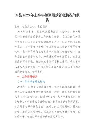 X县2025年上半年预算绩效管理情况的报告