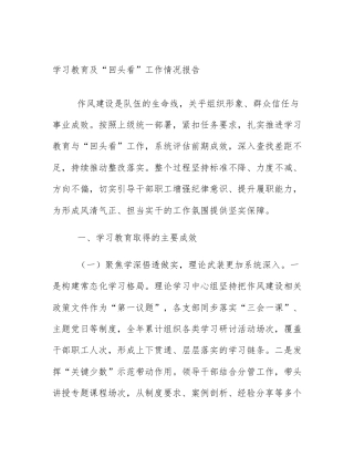 学习教育及“回头看”工作情况报告
