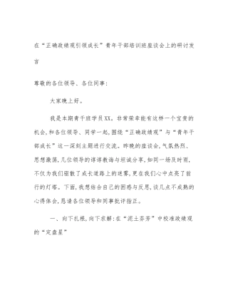 在“正确政绩观引领成长”青年干部培训班座谈会上的研讨发言