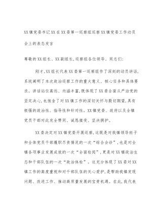 XX镇党委书记XX在XX委第一巡察组巡察XX镇党委工作动员会上的表态发言