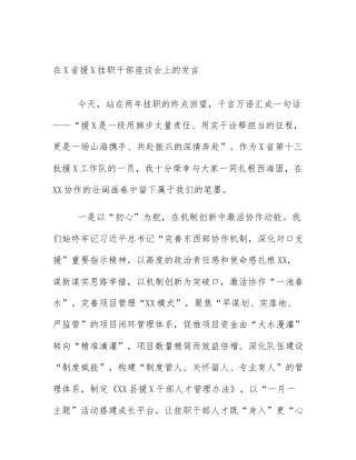 在X省援X挂职干部座谈会上的发言