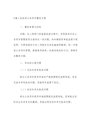 X镇人民政府公务用车整改方案
