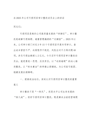 在2025年公司亏损项目审计整改动员会上的讲话