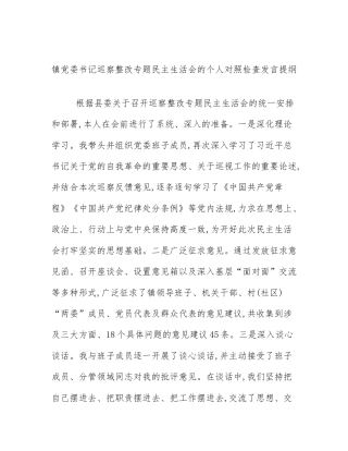 镇党委书记巡察整改专题民主生活会的个人对照检查发言提纲