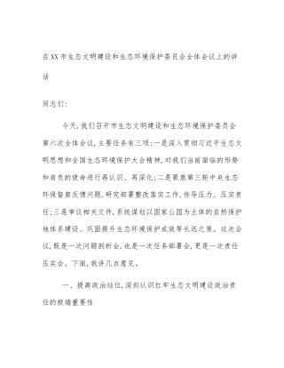 在XX市生态文明建设和生态环境保护委员会全体会议上的讲话