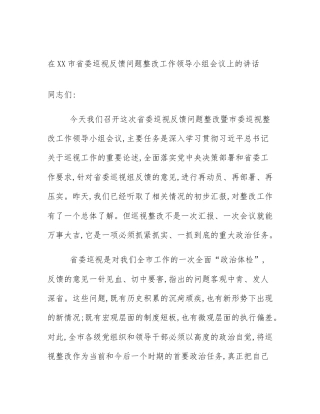 在XX市省委巡视反馈问题整改工作领导小组会议上的讲话