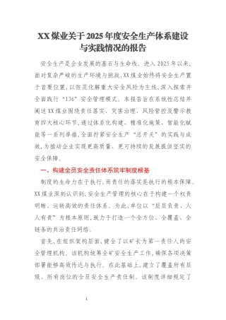XX煤业关于2025年度安全生产体系建设与实践情况的报告