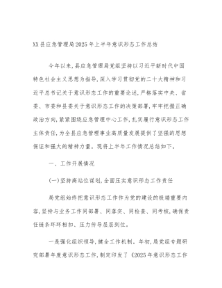 XX县应急管理局2025年上半年意识形态工作总结