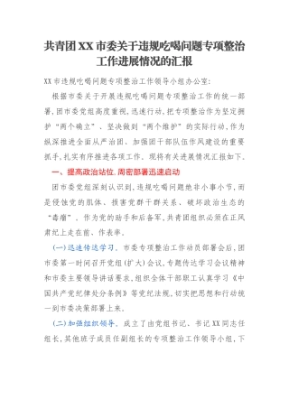共青团XX市委关于违规吃喝问题专项整治工作进展情况的汇报