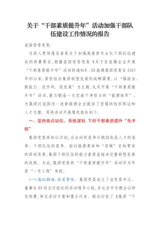 关于“干部素质提升年”活动加强干部队伍建设工作情况的报告