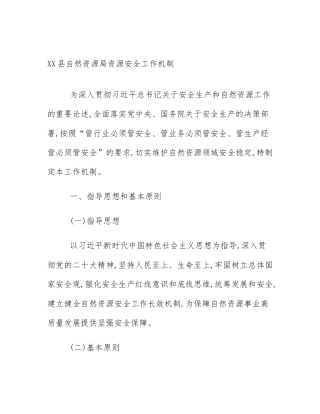 XX县自然资源局资源安全工作机制