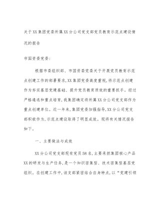 关于XX集团党委所属XX分公司党支部党员教育示范点建设情况的报告