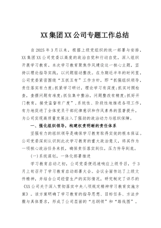 XX集团XX公司专题工作总结